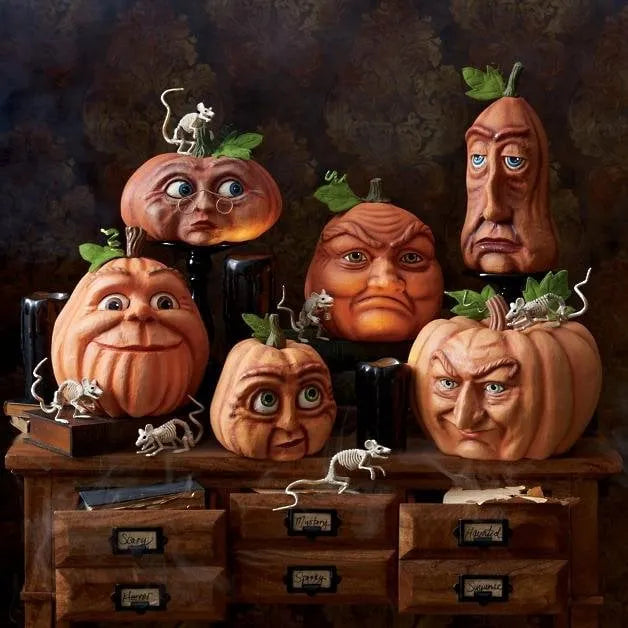 🎃Expressive Pumpkin Family丨Early Halloween Sale 49% Off