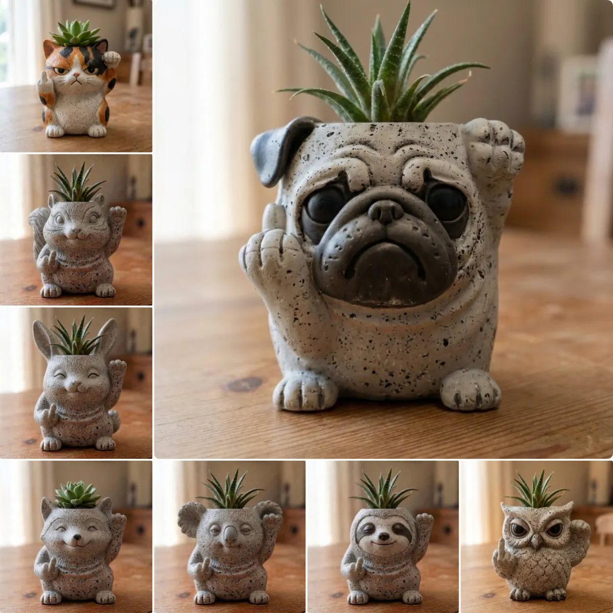 🔥Mother's Day Sale 49% Off😂Funny Animal Succulent Planter – Cute Attitude Plant Pot