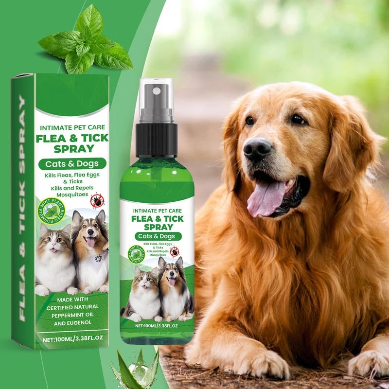 🔥HOT SALE🔥🍃Natural Flea & Tick Foam for Dogs and Cats🐾 Keep Your Beloved Pet Free from Pests