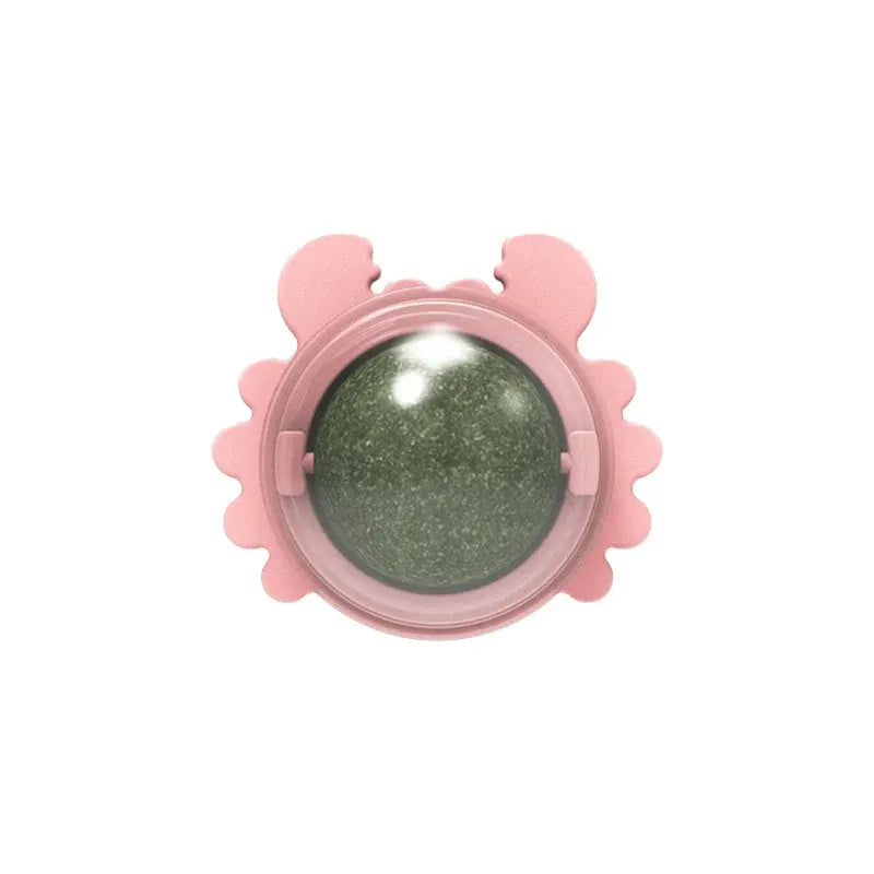Catnip Teeth Cleaning Edible Toy Ball