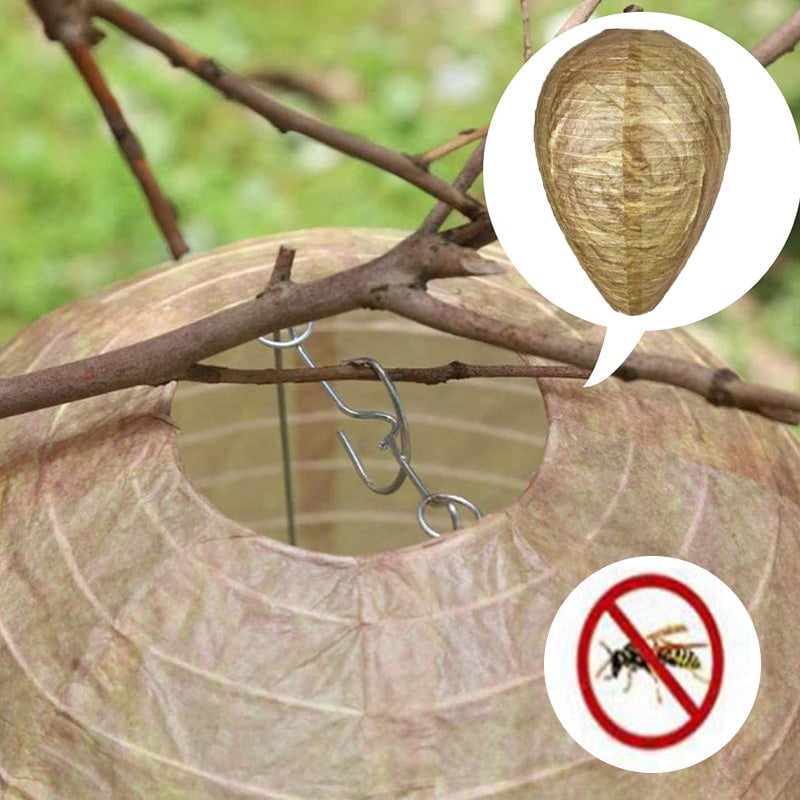 🔥Last 4 hours Sale: Save 49%-🐝Natural Wasp Deterrent Hive