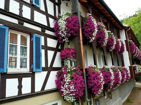 🎄🎁Last Day 70%OFF-🌺Vivid Artificial Hanging Orchid Bunch🌷