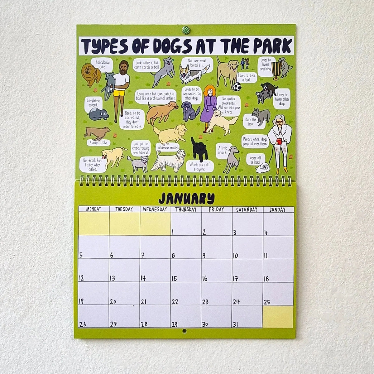 🔥Last Day 49% OFF - 🐶2026 Dog Park Calendar