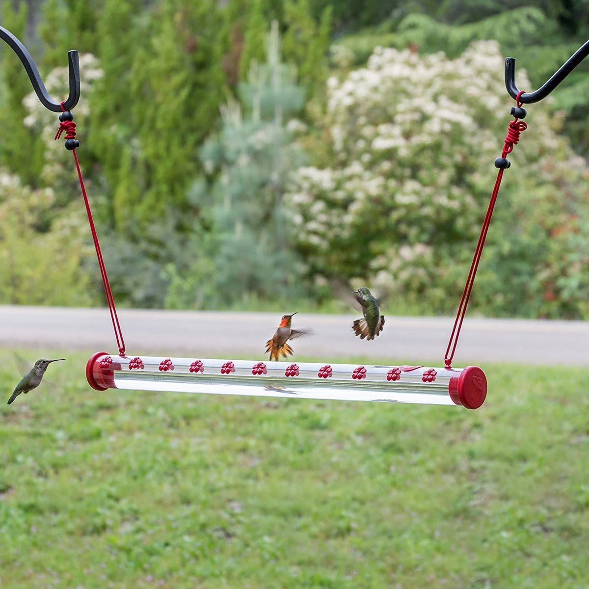 💥50% OFF💥Hanging long tube bird feeder(BUY 2 FREE SHIPPING)
