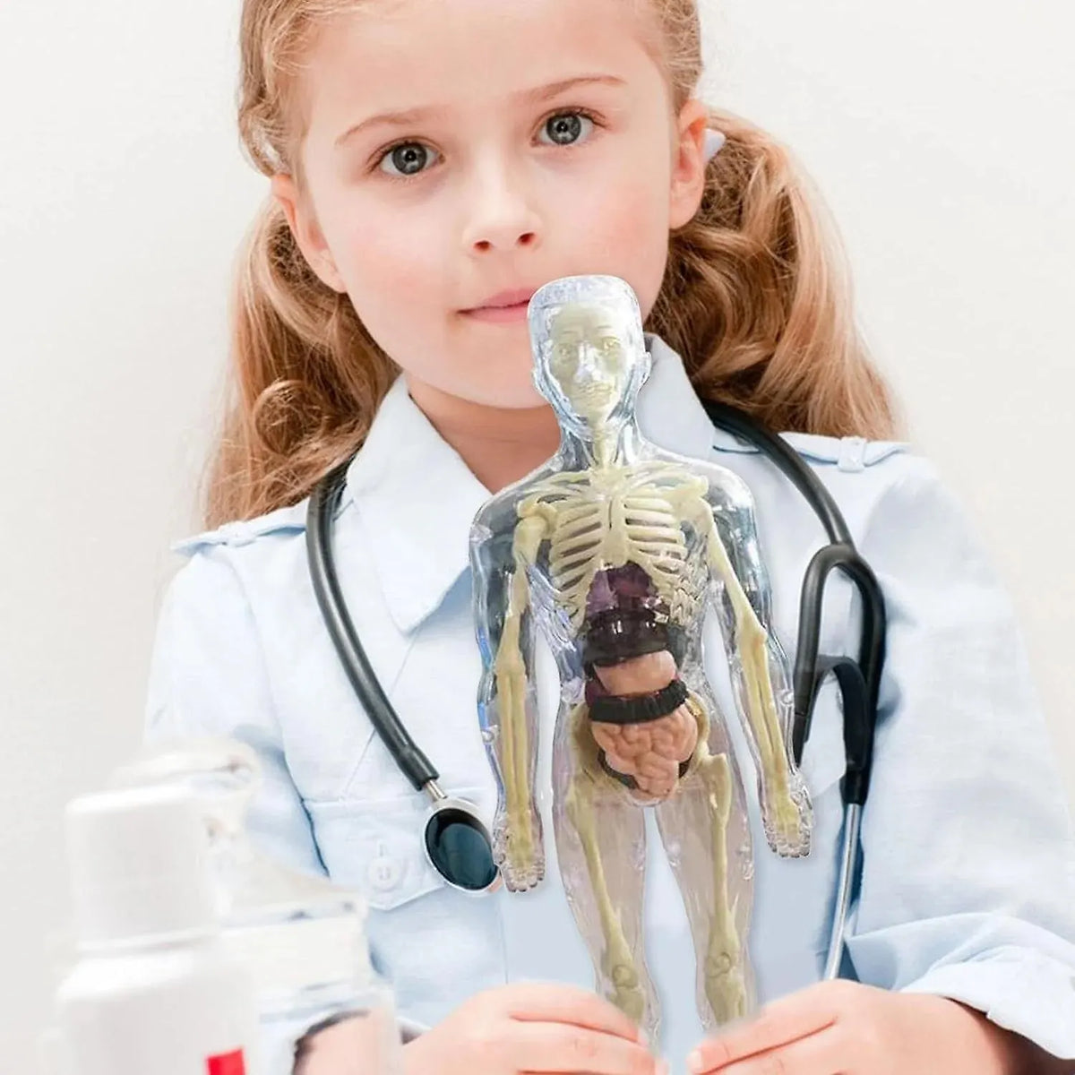 Human Body Model for Kids - STEM Anatomy Toy with Removable Organs