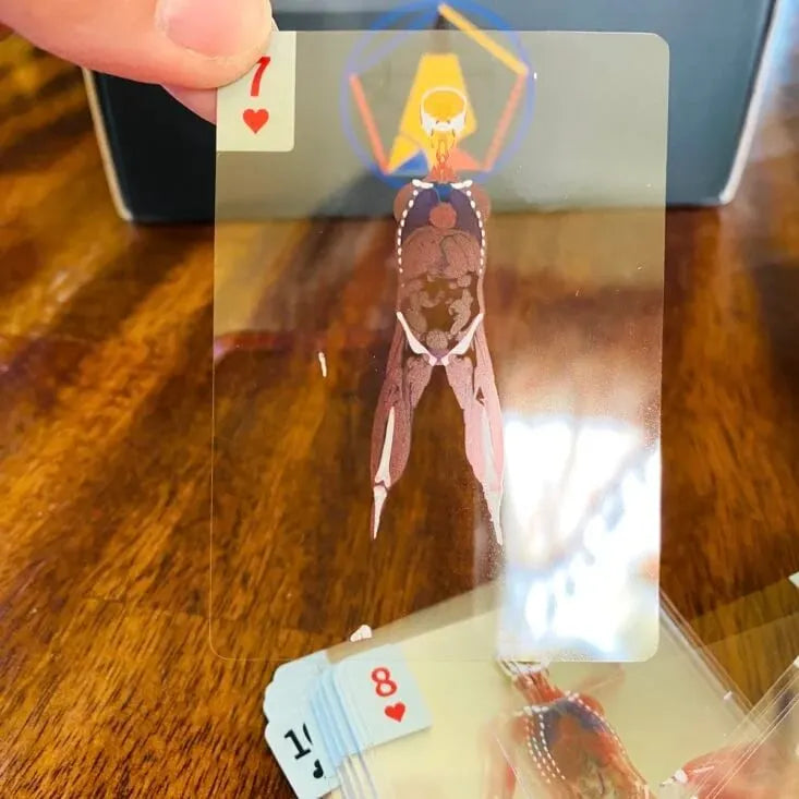 🔥Last 4 hours Sale: Save 49%- 📕The Body Deck