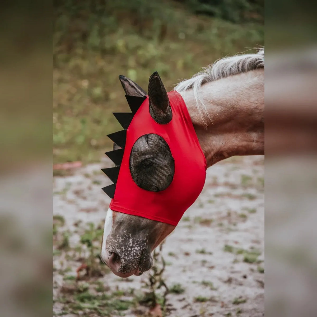 Anti-Muck Breathable Anti-Fly Horse Mask