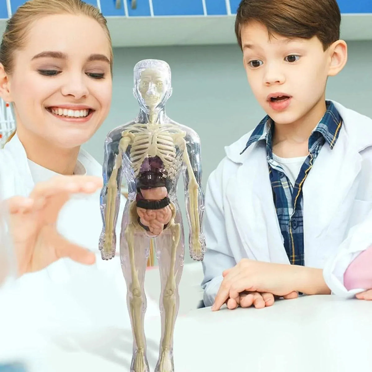 Human Body Model for Kids - STEM Anatomy Toy with Removable Organs