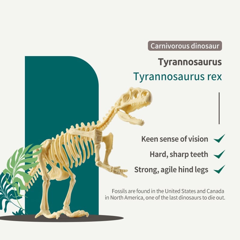 Great Educational Toy for Kids🎁New Arrival Dinosaur Fossil Digging Kit