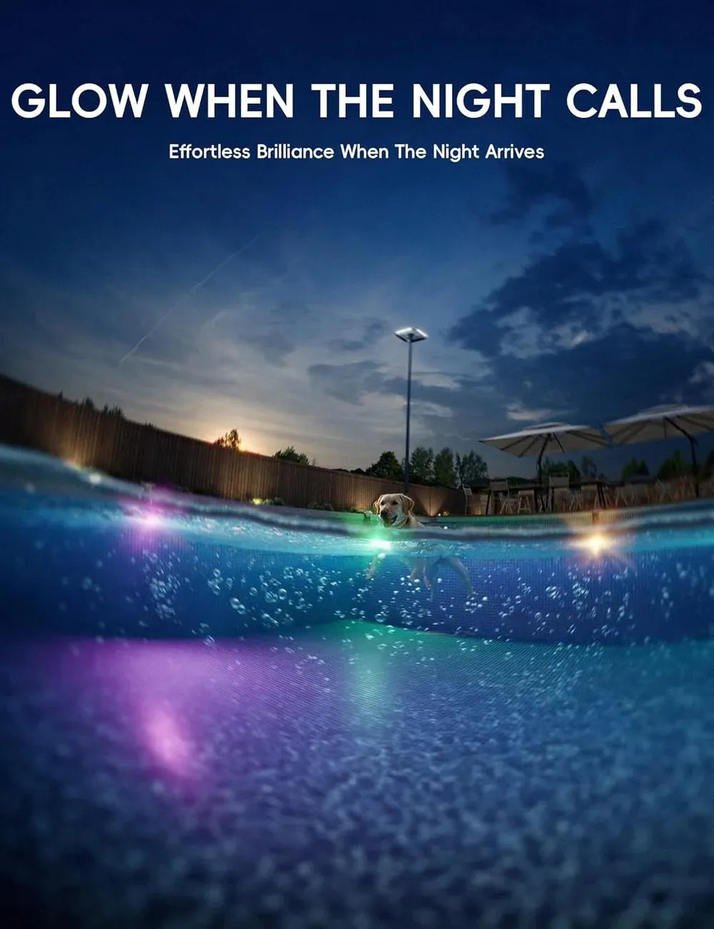 🔥HOT SALE🔥 New Series — Poolside Solar Light for Swimming Pool ✨BUY 3 FREE SHIPPING