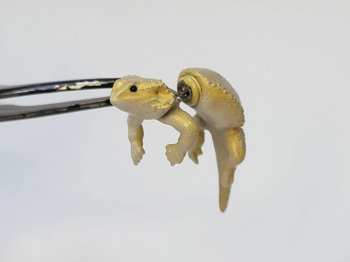 Hand Painted Bearded Dragon Earrings