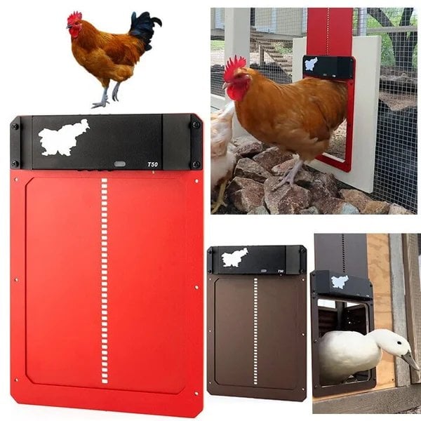 (Early Mother's Day Sale- SAVE 48% OFF) Light induction Automatic Chicken House Door - Free Shipping Now