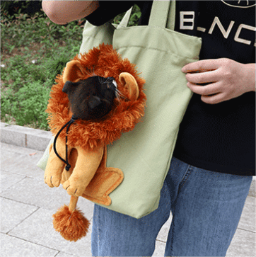 🔥50%-OFF NOW🔥Pet Bag Backpack(BUY 2 FREE SHIPPING)