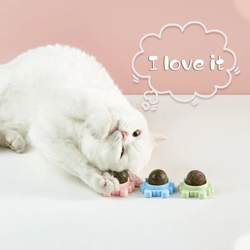 Catnip Teeth Cleaning Edible Toy Ball