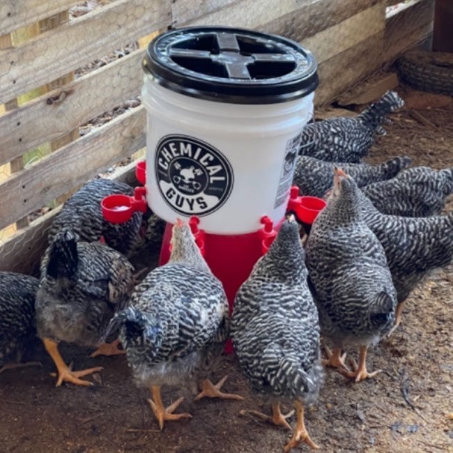 Automatic Chicken Water Cup Waterer Kit-BUY 8 GET 6 FREE