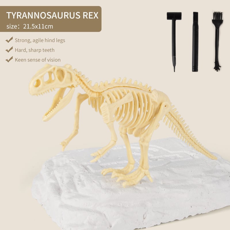 Great Educational Toy for Kids🎁New Arrival Dinosaur Fossil Digging Kit
