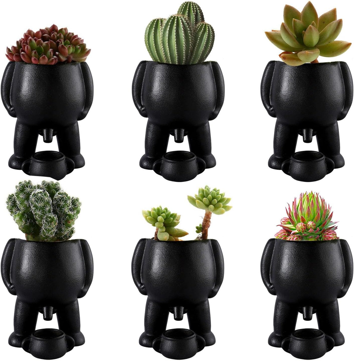 The Naughty Planter