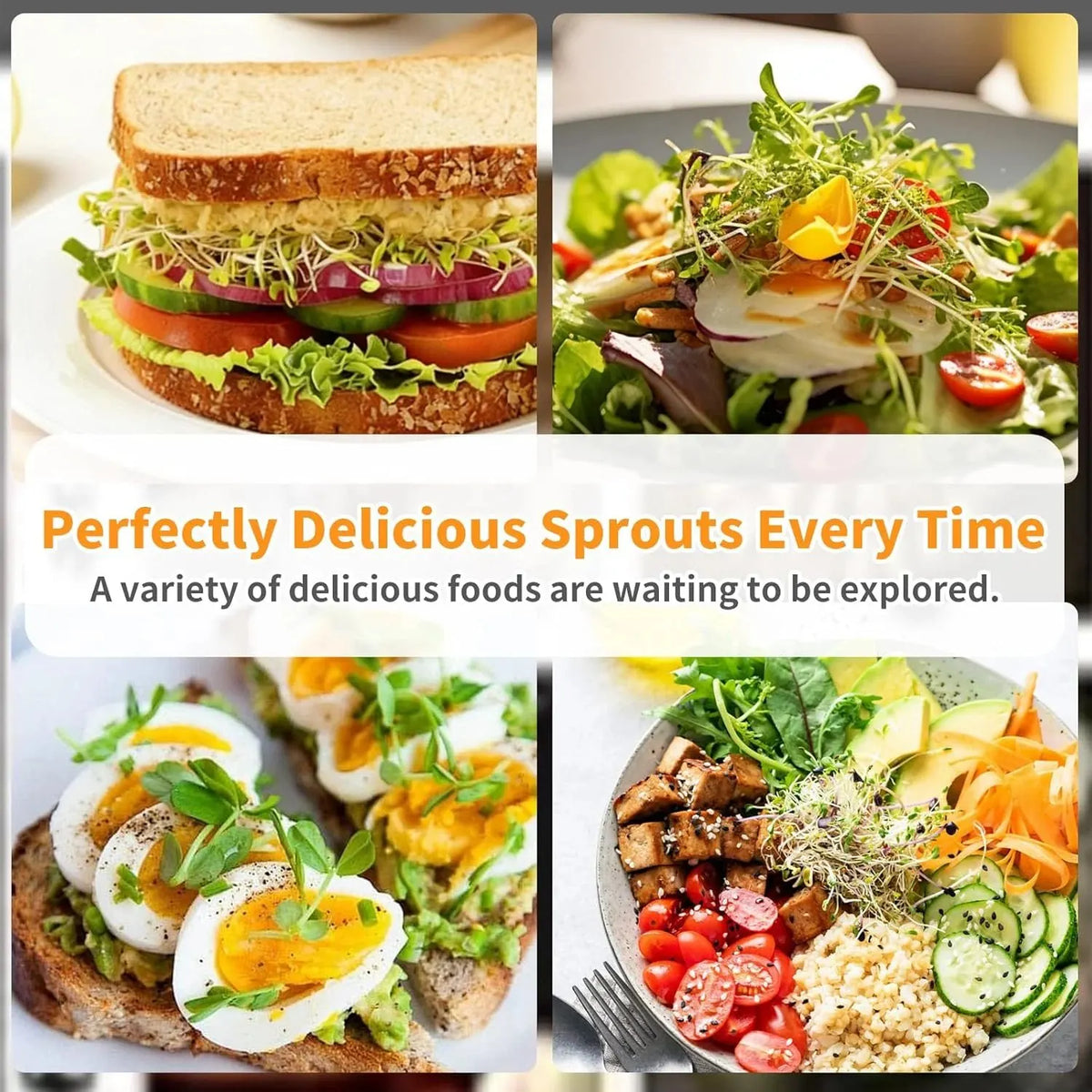 🔥HOT SALE🔥🌱 Upgraded Sprouting Jar Kit – Fresh Healthy Sprouts in Days ✨