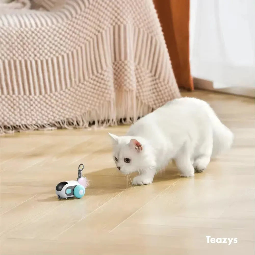 🔥LAST DAY 50% OFF - TURBO TAIL 2.0😻