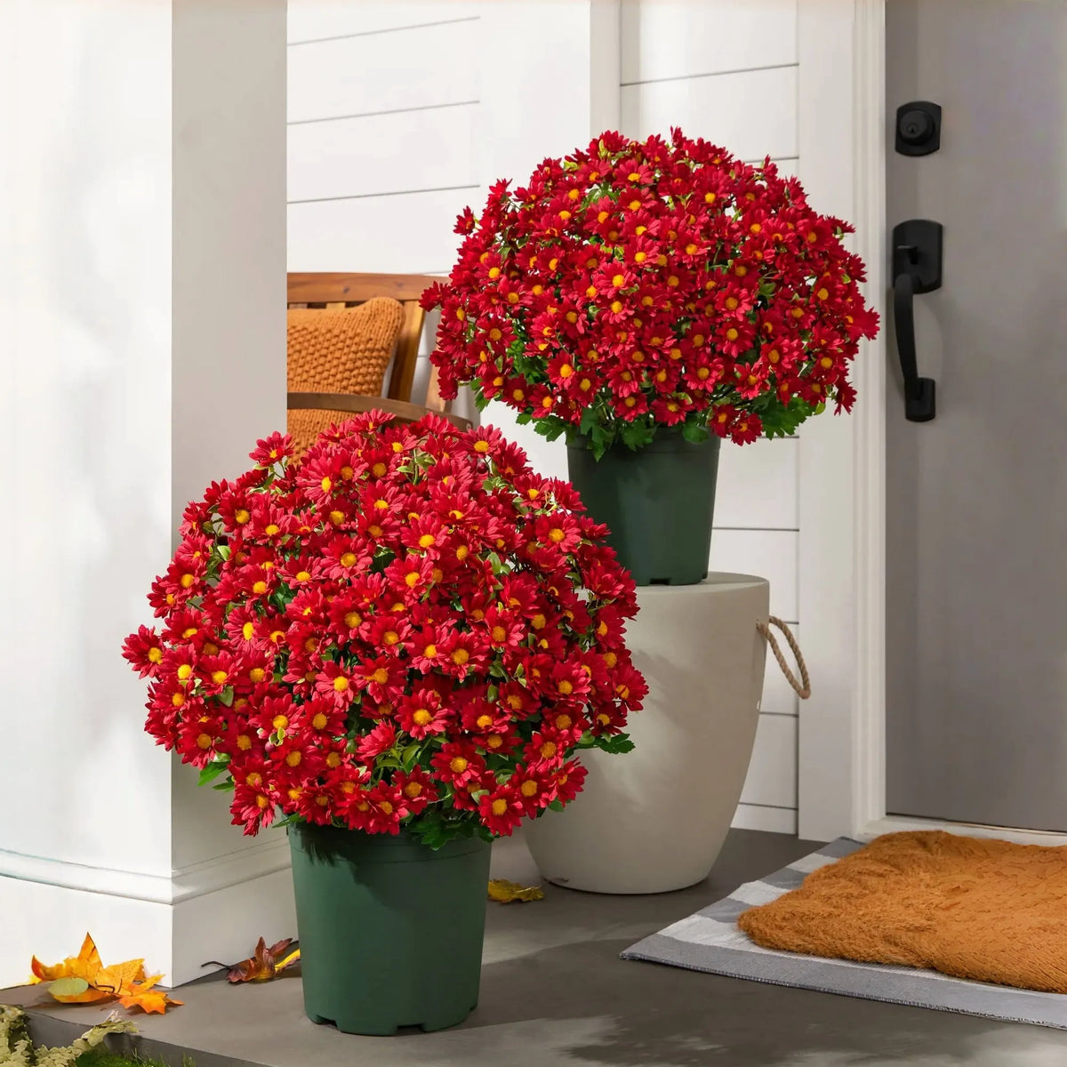 Artificial Outdoor Sunset Mums Flowers-UV resistant, Waterproof, Windproof