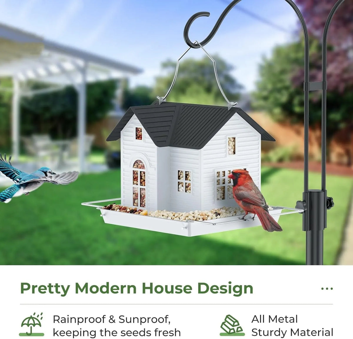 Solar Bird Feeder