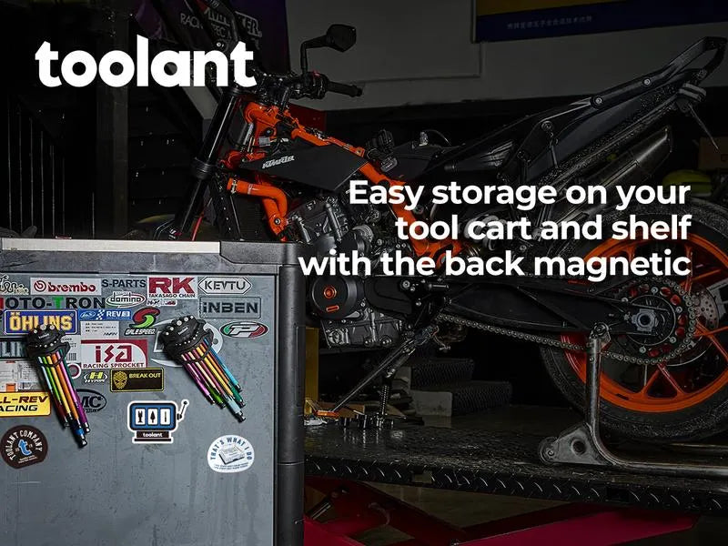 🔥Last Day Promotion 49% OFF - 🛠️Toolant Allen Wrench Allen Key Metric & SAE Set