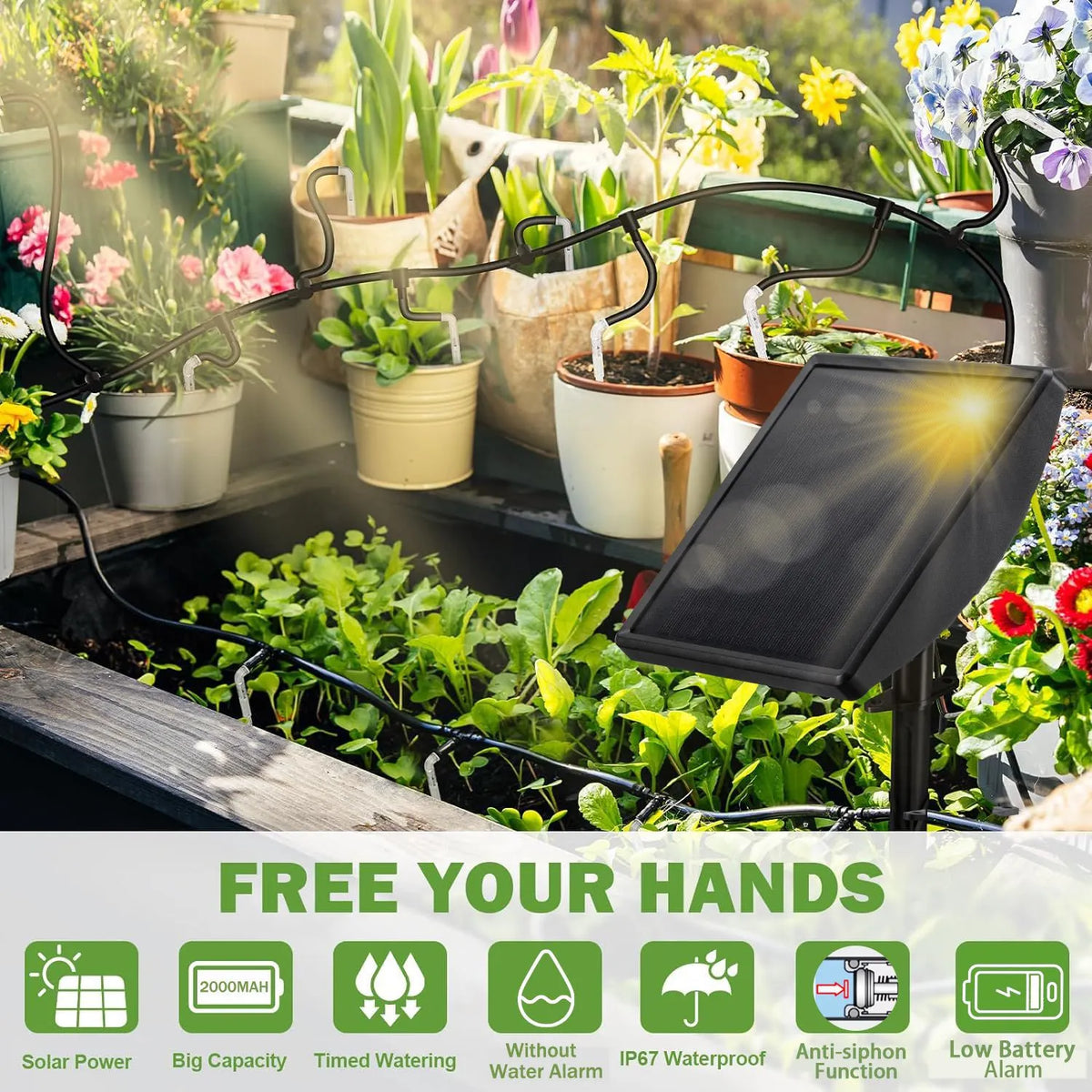 ⏰Historical Lowest Price: Save 49%- 🌞 Solar Powered Automatic Irrigation System