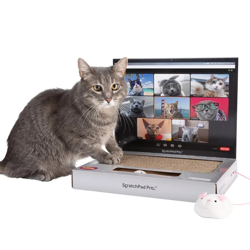 🔥HOT SALE🔥ScratchPad Pro Cardboard Laptop Cat Scratcher | Funny & Functional Cat Toy for Indoor Cats