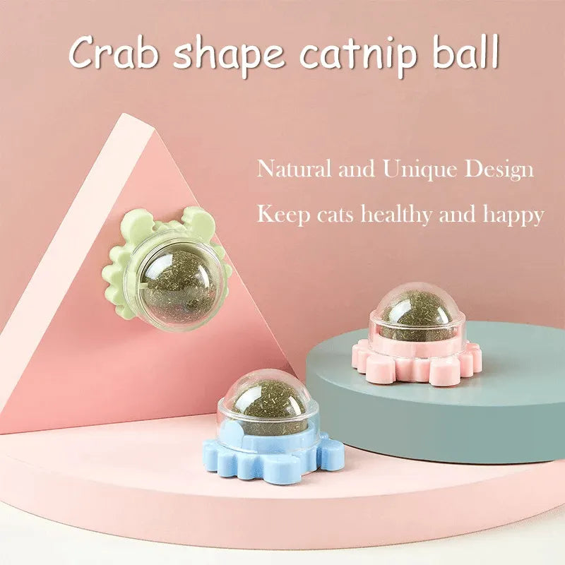 Catnip Teeth Cleaning Edible Toy Ball
