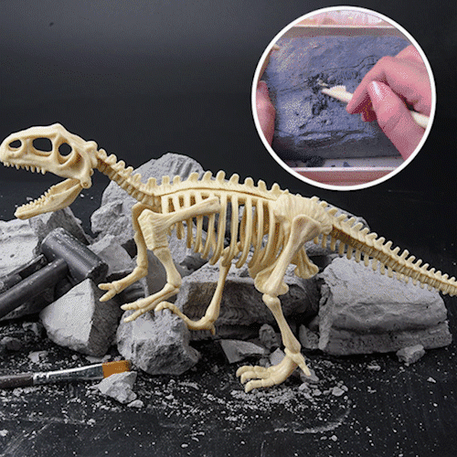 Great Educational Toy for Kids🎁New Arrival Dinosaur Fossil Digging Kit