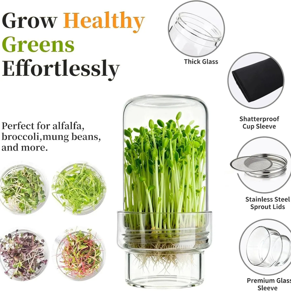 🔥HOT SALE🔥🌱 Upgraded Sprouting Jar Kit – Fresh Healthy Sprouts in Days ✨