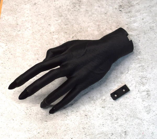 🧛‍♀️🩸Witch Hand Decoration