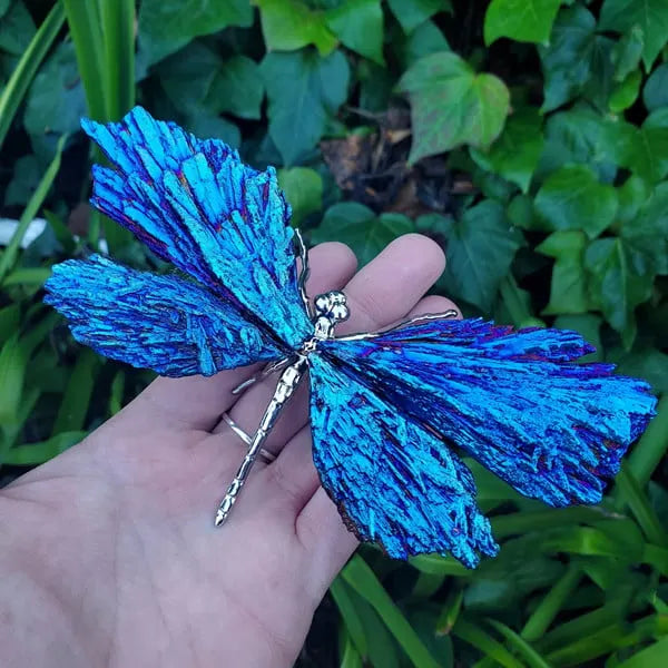 🔥LAST DAY 50% OFF - 💜🦋AURA TOURMALINE KYANITE DRAGONFLY