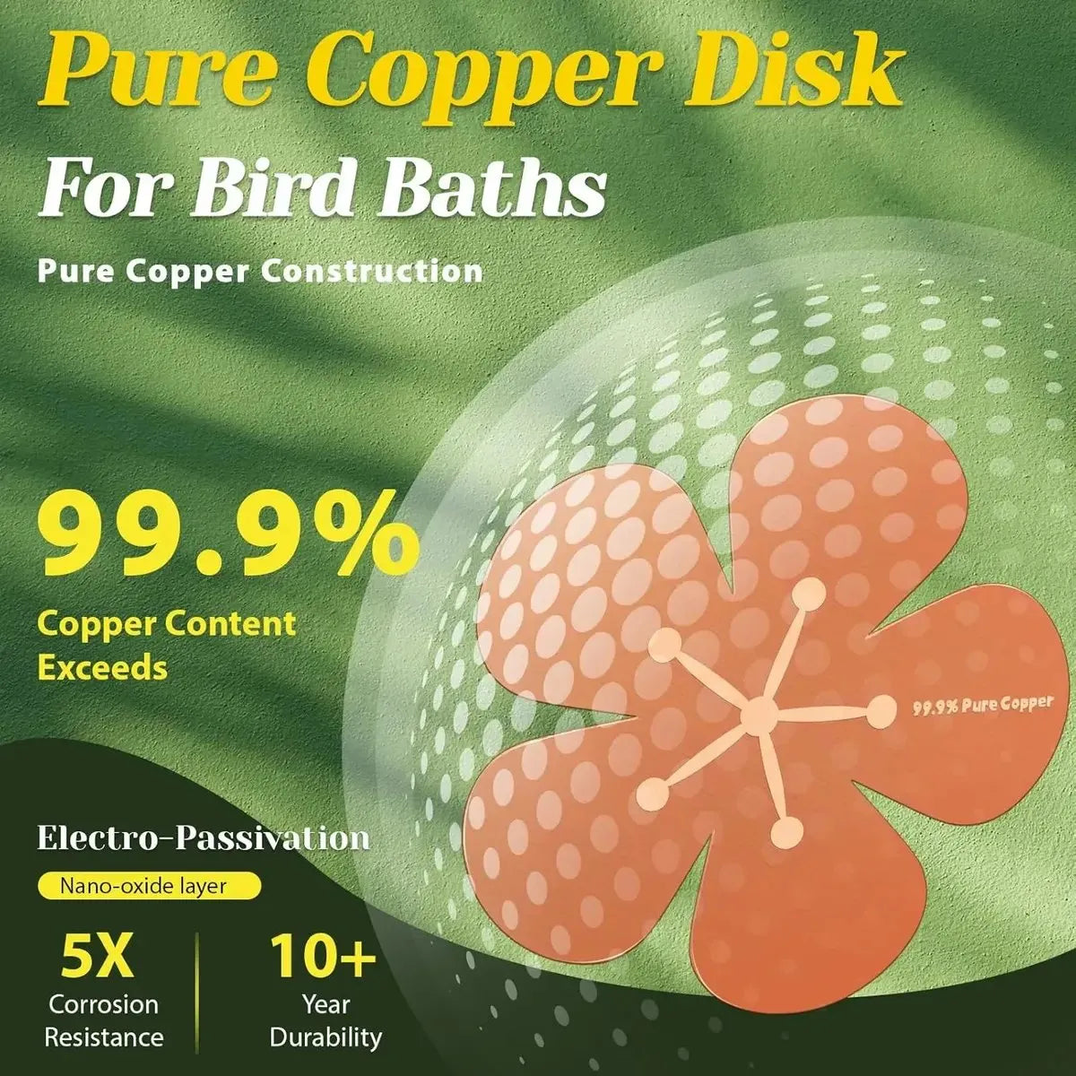🔥HOT SALE🔥3Pcs Bird Bath Copper Purification Disk