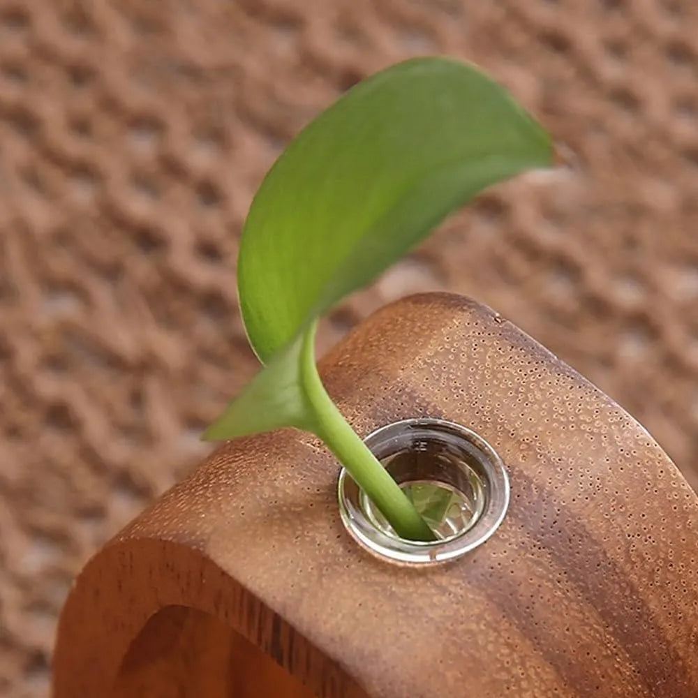 Solid Wood Glass Vase
