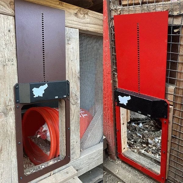 (Early Mother's Day Sale- SAVE 48% OFF) Light induction Automatic Chicken House Door - Free Shipping Now