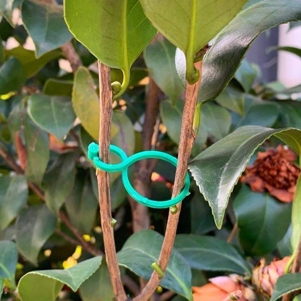 Garden Plant Holder