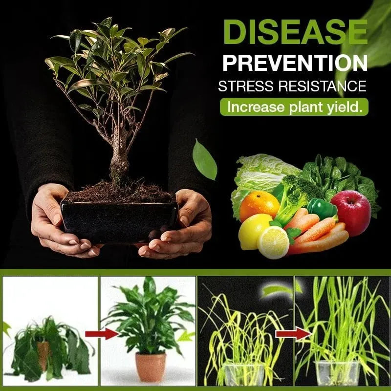 Soil Activated Treasure-You Will Be Amazed (BUY 5 GET 3FREE And FREE SHIPPING)