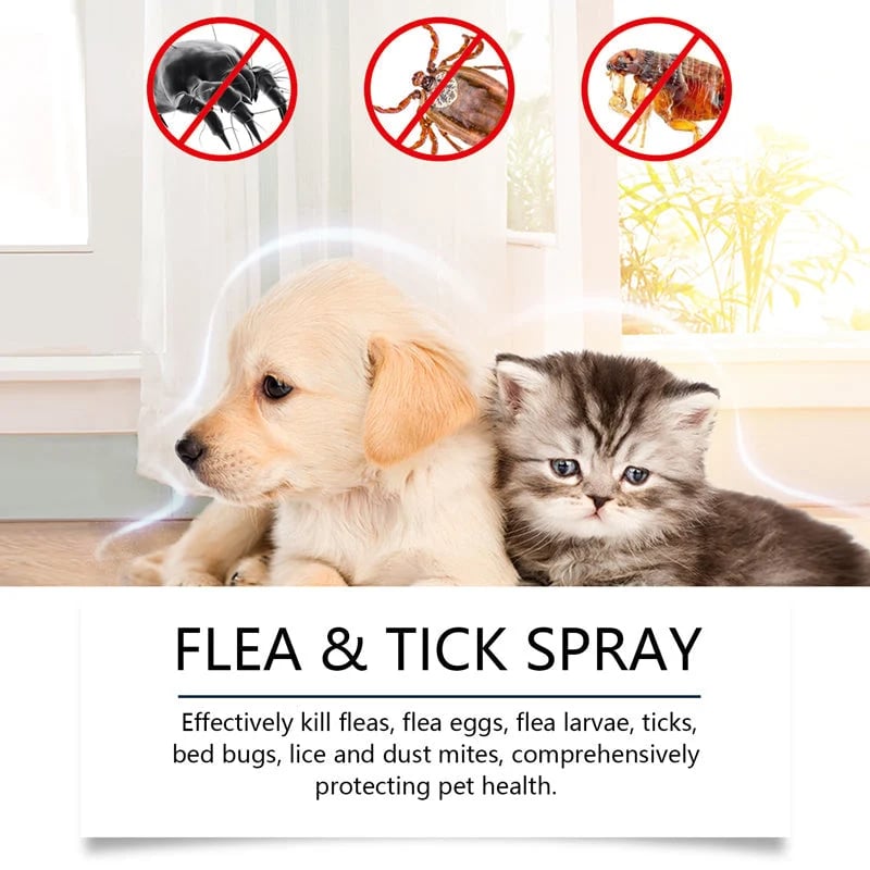 🔥HOT SALE🔥🍃Natural Flea & Tick Foam for Dogs and Cats🐾 Keep Your Beloved Pet Free from Pests