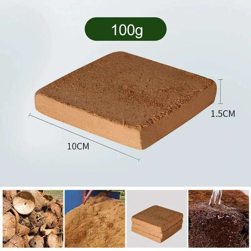 ✨Organic Coconut Coir for Plants