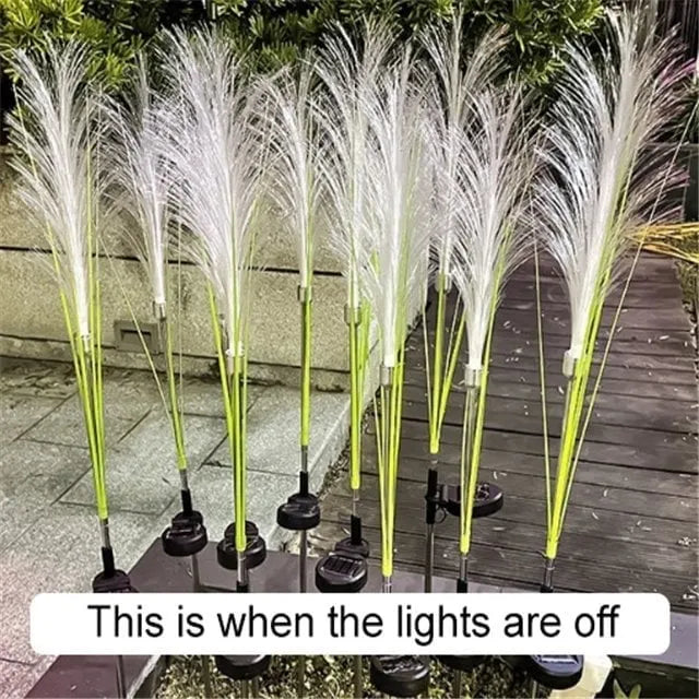 🔥LAST DAY 48% OFF🔥Reed Fiber Optic Light[Outdoor Solar Garden Lights]