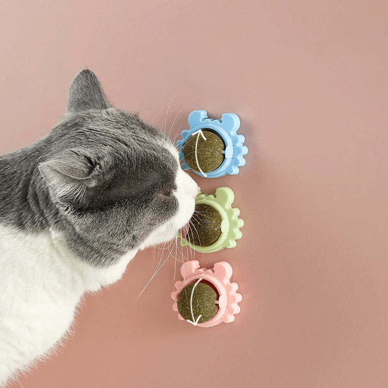 Catnip Teeth Cleaning Edible Toy Ball
