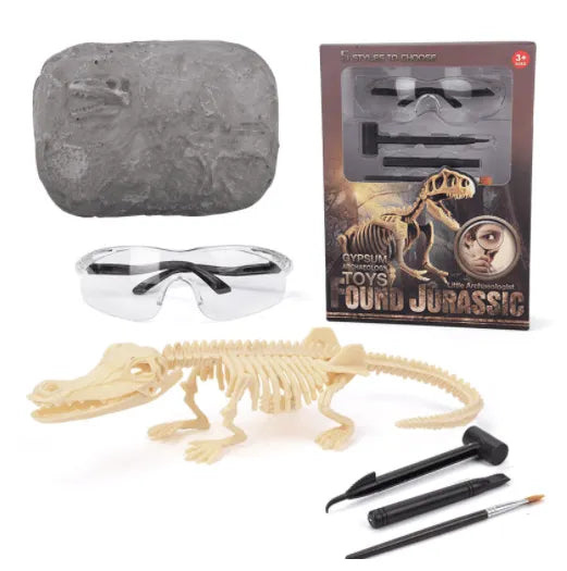 Great Educational Toy for Kids🎁New Arrival Dinosaur Fossil Digging Kit