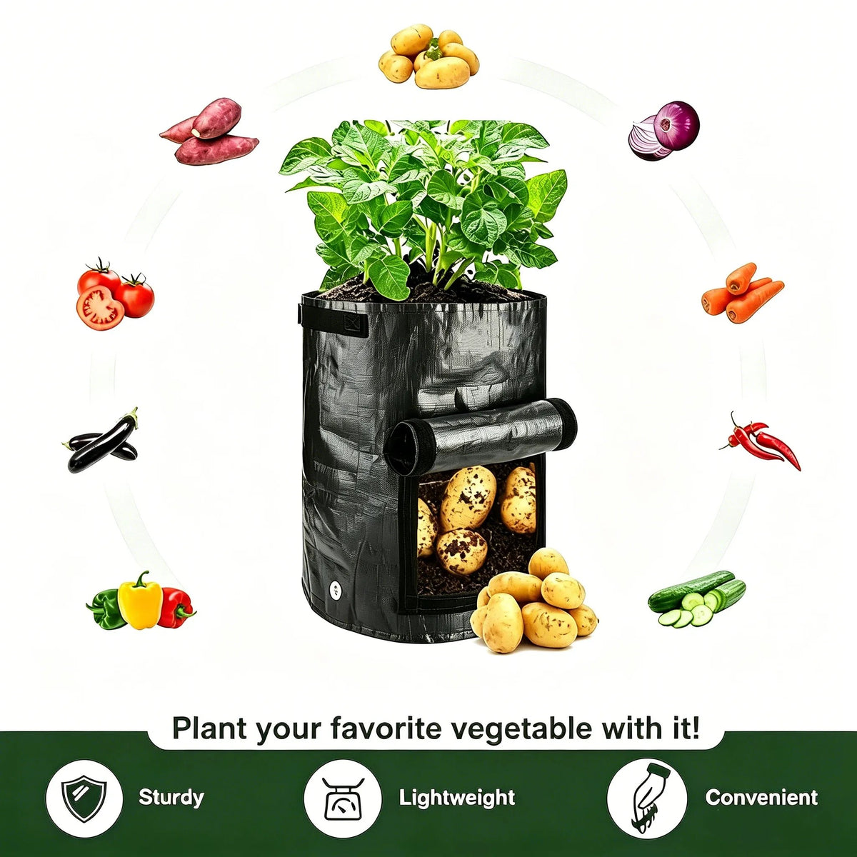 🔥 HOT SALE 🔥Planting Bag with Harvest Window