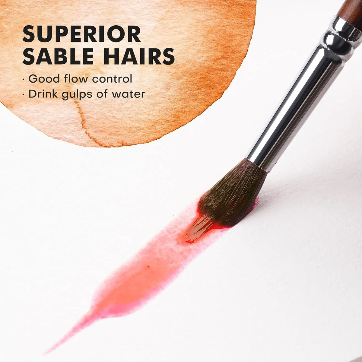 Professional Sable Extended Points Brushes