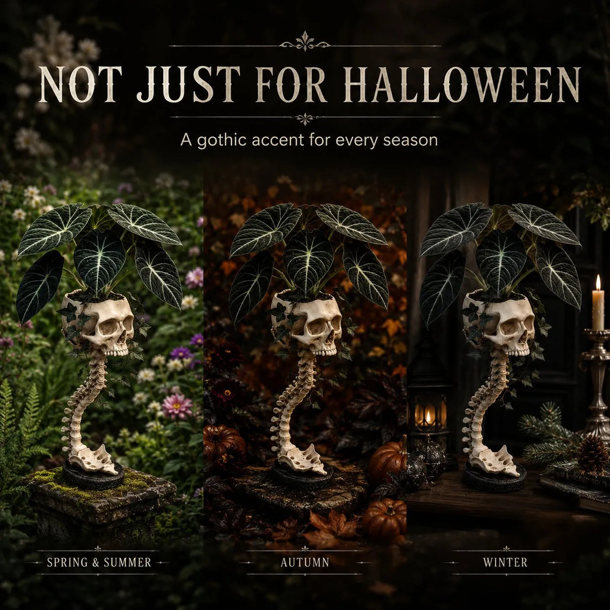 💥 LAST DAY 49% OFF - 💀🌿 Sculptured Skull Flowerpot (📦Buy 2 Free Shipping)