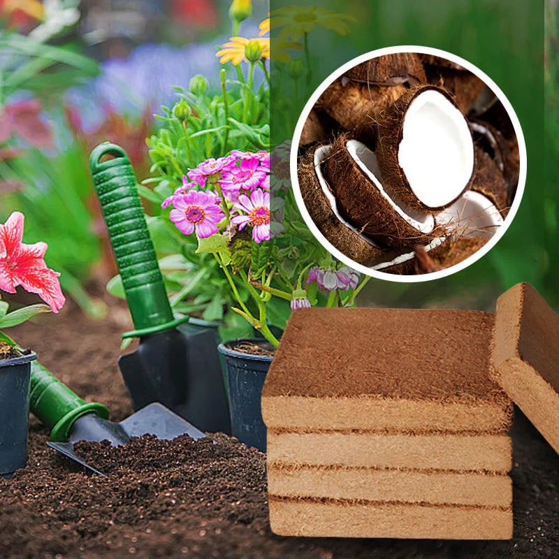 ✨Organic Coconut Coir for Plants