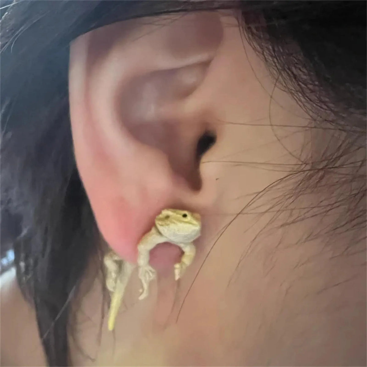 Hand Painted Bearded Dragon Earrings