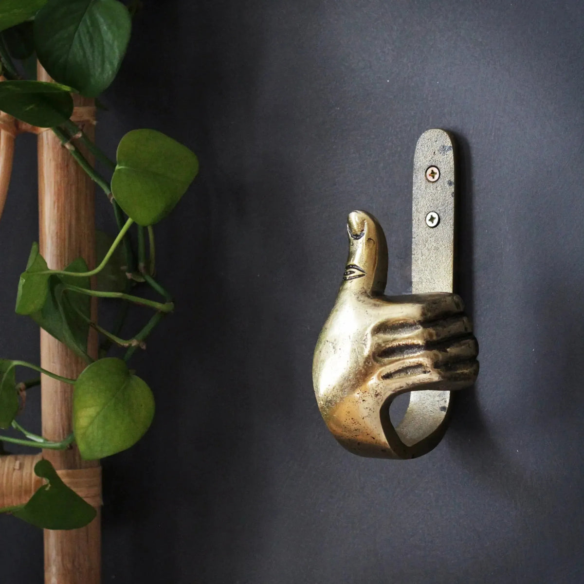 Funny Metal Hand Hooks