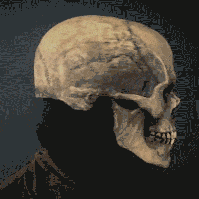 🎃Creepy Biological Man Skeleton
